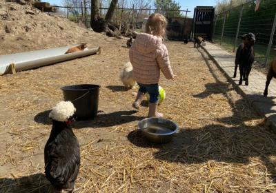 Kinderboerderij Camping 't Anker 4