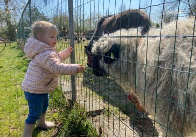 Kinderboerderij Camping 't Anker 5