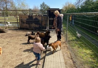 Kinderboerderij Camping 't Anker 2