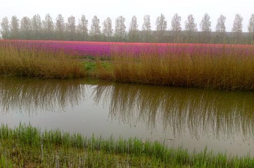Omgeving Camping 't Anker